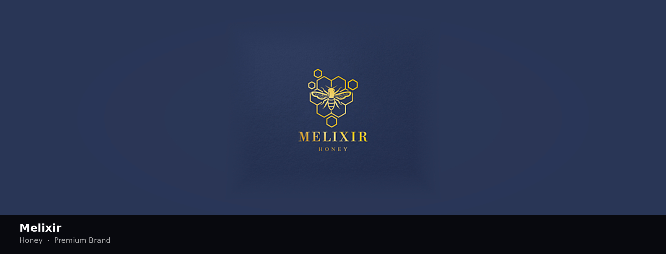 Melixir brand identity: primary mark